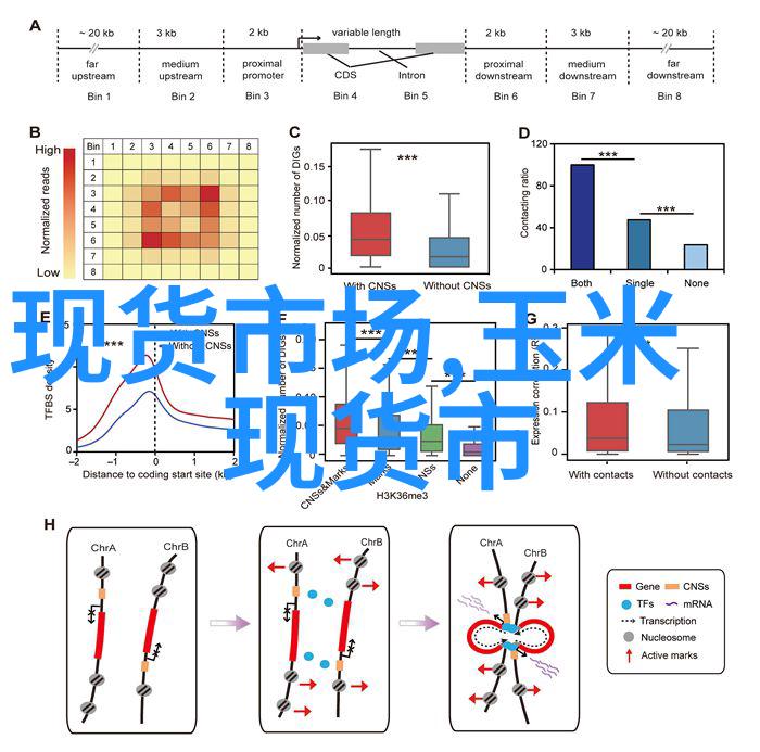 现货市场截止1月13日巴西已经销售完去年咖啡产量的77